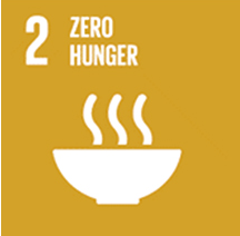 SDGs2